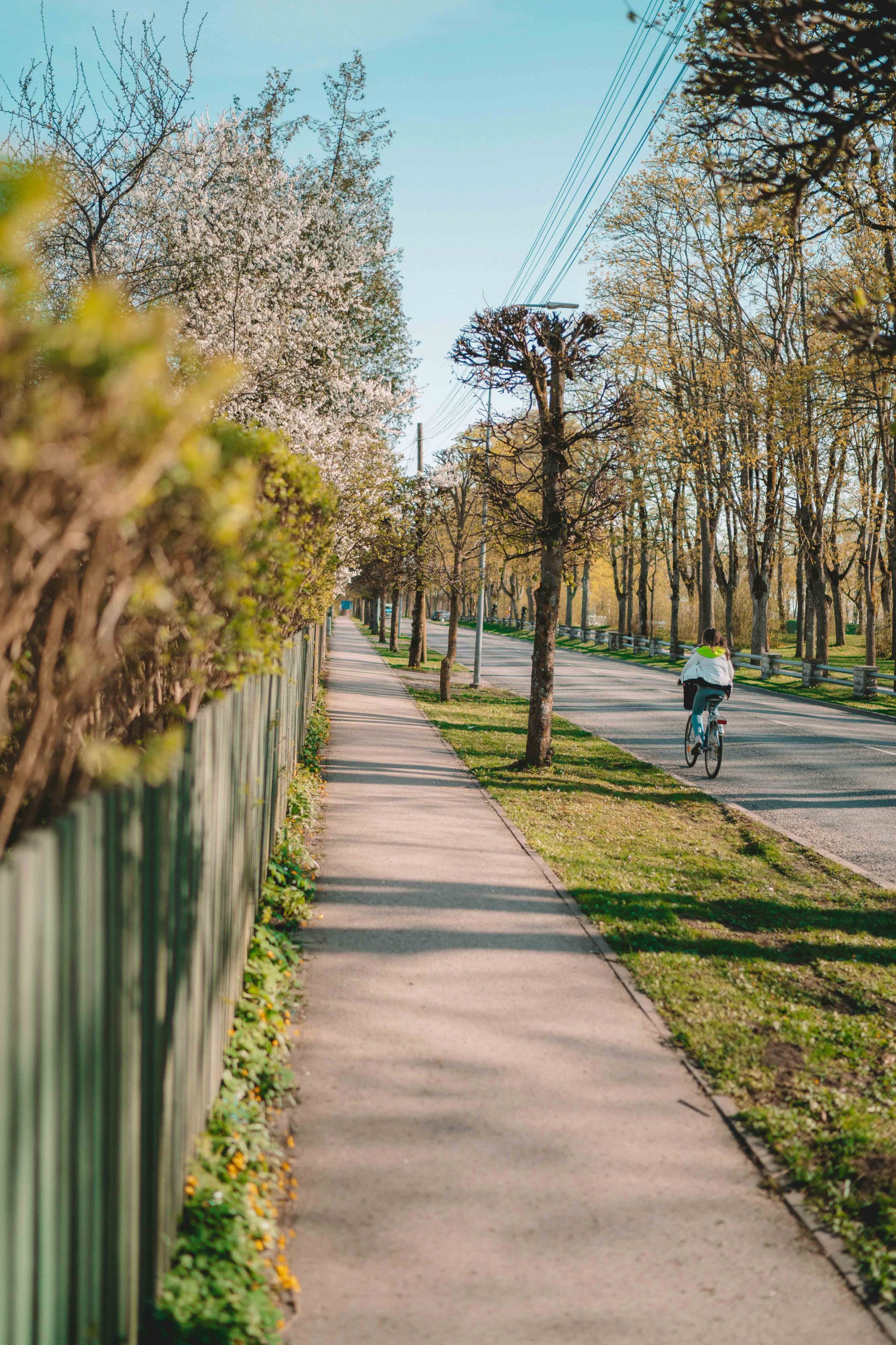 Cycliste