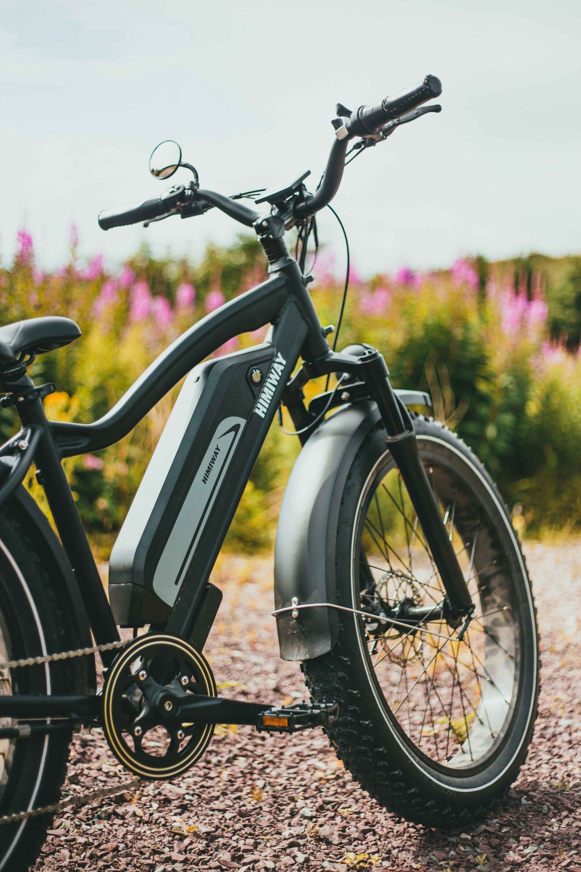 Cadre vélo électrique